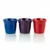 Fiesta® 3-Piece Flower Pot Set | Bold