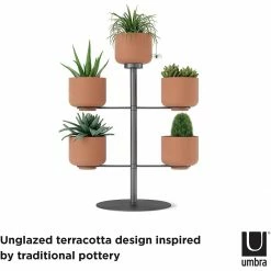 Umbra Terrapotta Planter -Curious Shop 61johkkc4bs. ac sl1500