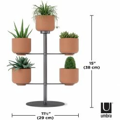 Umbra Terrapotta Planter -Curious Shop 71lcgpt9k5s. ac sl1500