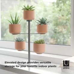 Umbra Terrapotta Planter -Curious Shop 71vufezyvcs. ac sl1500