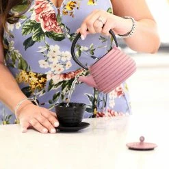 Frieling 17oz Nabe Cast Iron Teapot | Lavender -Curious Shop 812fqxn ldl. ac sl1500