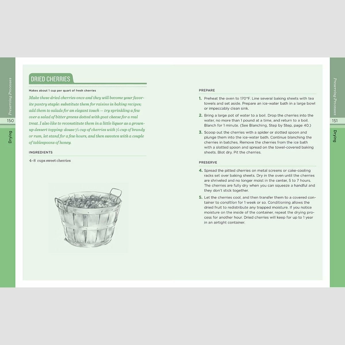 Workman Publishing The Preserving Answer Book By Sherri Brooks Vinton 8 Workman Publishing The Preserving Answer Book By Sherri Brooks Vinton - Image 6