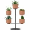 Umbra Terrapotta Planter