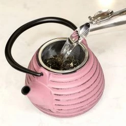 Frieling 17oz Nabe Cast Iron Teapot | Lavender -Curious Shop 81wx9wd8i1l. ac sl1500