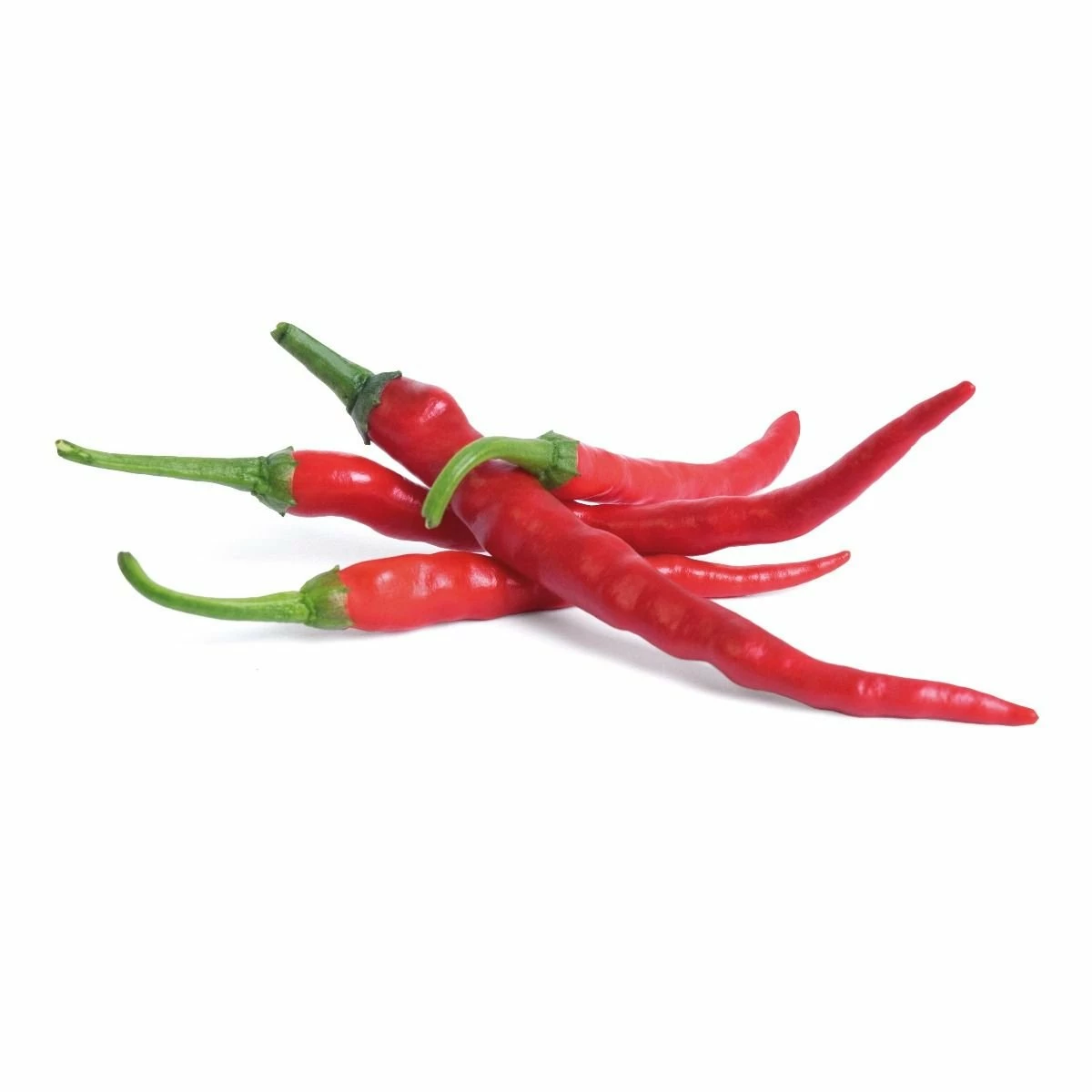 Veritable® Lingot Seed Pod | Cayenne Hot Chili 4 Veritable® Lingot Seed Pod | Cayenne Hot Chili - Image 2