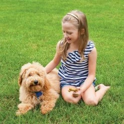 Nordic Ware Homemade Dog Treat Mix -Curious Shop dtreat3