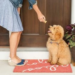 Nordic Ware Homemade Dog Treat Mix -Curious Shop dtreat5