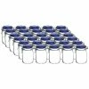 Bormioli Rocco 1L Swing Top Fido Glass Jars - Blue Lid | 30-pack -Curious Shop ekb br1lfb 30