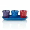Fiesta® Windowsill Garden Set | Bold -Curious Shop ekbhlcwsillbold