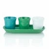 Fiesta® Windowsill Garden Set | Cool -Curious Shop ekbhlcwsillcool