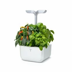 Veritable Exky® SMART Garden | Arctic White -Curious Shop exky smart 12