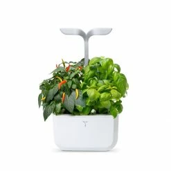 Veritable Exky® SMART Garden | Arctic White -Curious Shop exky smart 13
