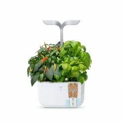 Veritable Exky® SMART Garden | Arctic White -Curious Shop exky smart 14