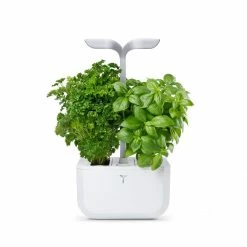 Veritable Exky® SMART Garden | Arctic White -Curious Shop exky smart 16