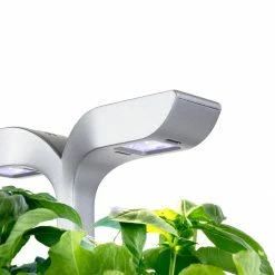 Veritable Exky® SMART Garden | Arctic White -Curious Shop exky smart 1