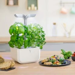 Veritable Exky® SMART Garden | Arctic White -Curious Shop exky smart 3