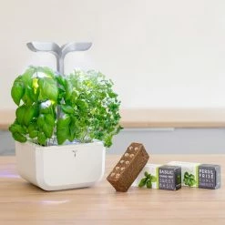 Veritable Exky® SMART Garden | Arctic White -Curious Shop exky smart 4