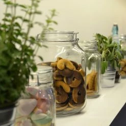 Bormioli Rocco 1.5L Swing Top Fido Canning Jar -Curious Shop fido storage jars 3 1