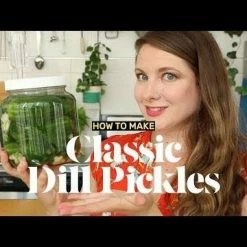 FarmSteady Lacto-Pickle Kit -Curious Shop hqdefault 30 12