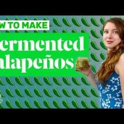 FarmSteady Fermented Vegetable Kit -Curious Shop hqdefault 30 9