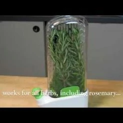 Prepara Herb Savor Deluxe | White/Green -Curious Shop hqdefault 50 67