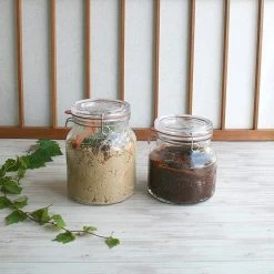 Luigi Bormioli Lock-Eat Handy Jar 50.75oz -Curious Shop lockeat503