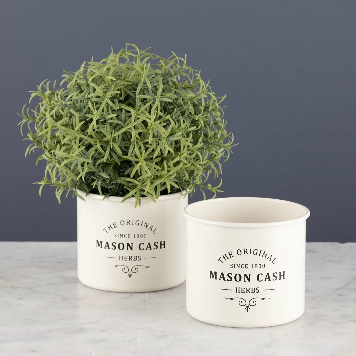Mason Cash | Heritage Herb Planter - Image 2