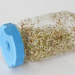 Masontops Bean Screen For Mason Jars (2 Pack) -Curious Shop masontops bean screen 4 grande