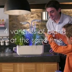 Veritable® Classic Garden Gift Set 31 Veritable® Classic Garden Gift Set -Curious Shop maxresdefault 3 17