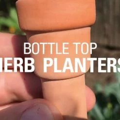 Kikkerland Bottle Top Herb Planters 9 Kikkerland Bottle Top Herb Planters -Curious Shop maxresdefault 9 1