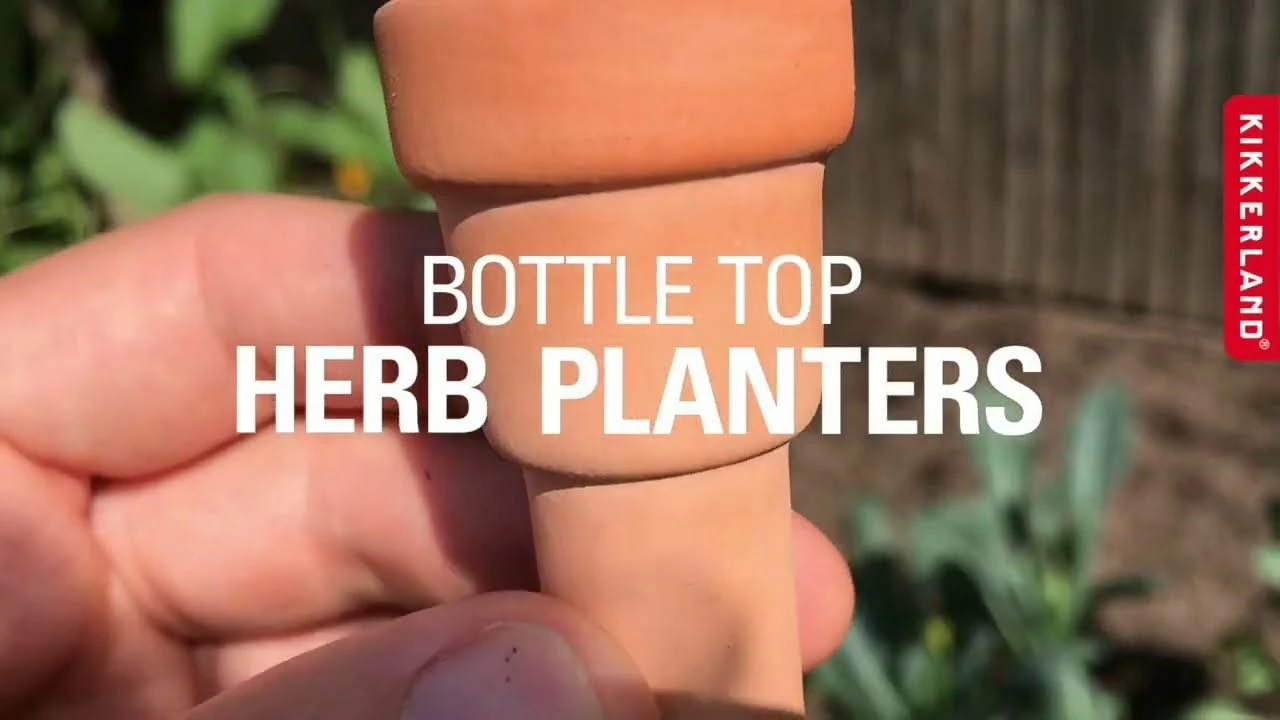 Kikkerland Bottle Top Herb Planters 6 Kikkerland Bottle Top Herb Planters - Image 4