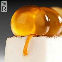 Molecule-R CUISINE R-EVOLUTION: 30pc Molecular Gastronomy Kit -Curious Shop molecule r cuisine r evolution 30pc molecular gastonomy kit 045635904729 image04