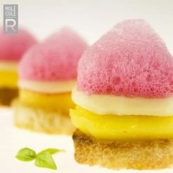 Molecule-R CUISINE R-EVOLUTION: 30pc Molecular Gastronomy Kit -Curious Shop molecule r cuisine r evolution 30pc molecular gastonomy kit 045635904729 image06