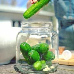 FarmSteady Lacto-Pickle Kit -Curious Shop pickle3 1
