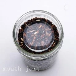 Masontops Wide Mouth Fermentation Pickle Pebbles - Set Of 4 -Curious Shop ppp4 masontops wide mouth mason jar