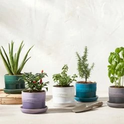 Le Creuset 5.5" Herb Planter | White -Curious Shop rs15992 herbpots scr