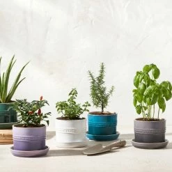 Le Creuset 5.5" Herb Planter | Oyster 10 Le Creuset 5.5" Herb Planter | Oyster -Curious Shop rs15992 herbpots scr 2
