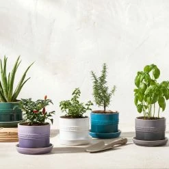 Le Creuset 5.5" Herb Planter | Deep Teal -Curious Shop rs15992 herbpots scr 3