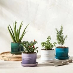 Le Creuset 5.5" Herb Planter | Artichaut -Curious Shop rs15992 herbpots scr 4