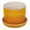 Le Creuset 5.5" Herb Planter | Nectar 2 Le Creuset 5.5" Herb Planter | Nectar -Curious Shop rs16134 pg0002 672 scr