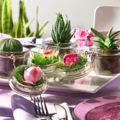 Bormioli Rocco 6.75oz Swing Top Jelly Jar -Curious Shop small fido jars 2 1