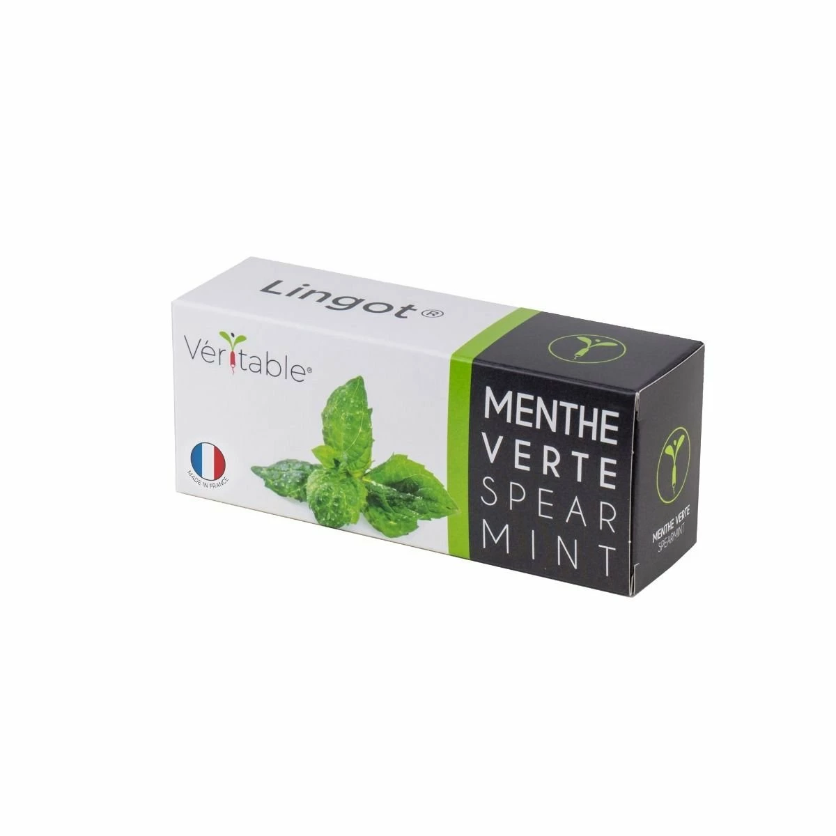 Veritable® Lingot Seed Pod | Spearmint 3 Veritable® Lingot Seed Pod | Spearmint