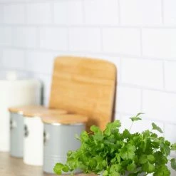 Typhoon Living Collection | Herb Planter - Grey -Curious Shop typhoon living herb planter grey1401.067