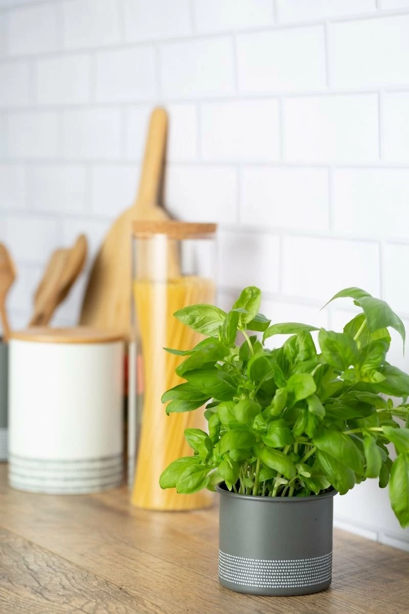 Typhoon Monochrome Collection | Herb Planter - Grey 4 Typhoon Monochrome Collection | Herb Planter - Grey - Image 2