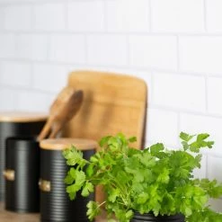Typhoon Otto Collection | Herb Planter -Curious Shop typhoon otto herb planter1401.070