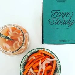 FarmSteady Fermented Vegetable Kit -Curious Shop veg4