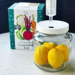 FarmSteady Fermented Vegetable Kit -Curious Shop veg6