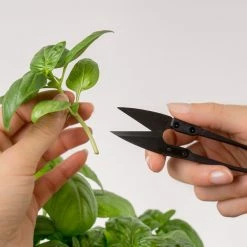 Veritable® Classic Garden Gift Set 28 Veritable® Classic Garden Gift Set -Curious Shop veritable10