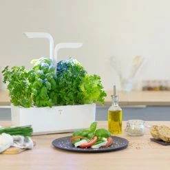 Veritable® Classic Garden Gift Set 27 Veritable® Classic Garden Gift Set -Curious Shop veritable8