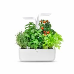 Veritable® CLASSIC Garden 19 Veritable® CLASSIC Garden -Curious Shop veritable classic 11